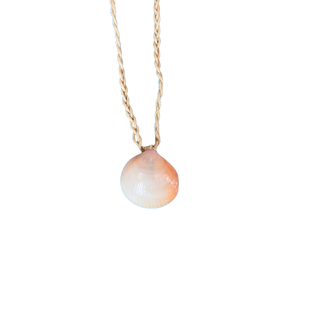 Shell Necklace/Braided