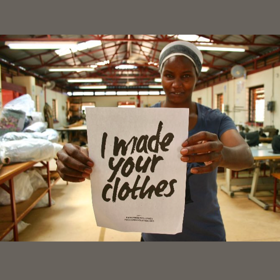 Zebra Hoodie by Wildlife Works