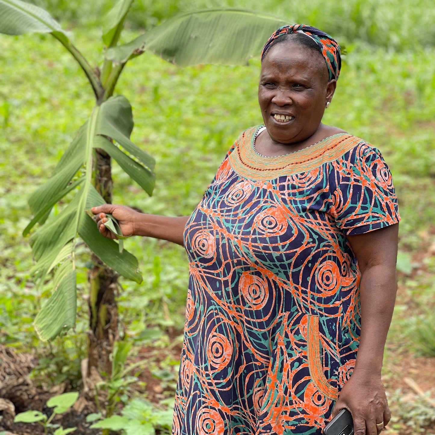 Banana Fiber Elephants Circling a Baobab Tree