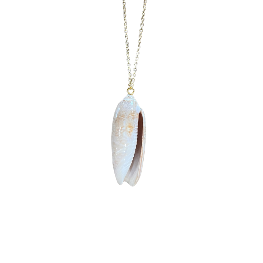 Olive Shell Necklace