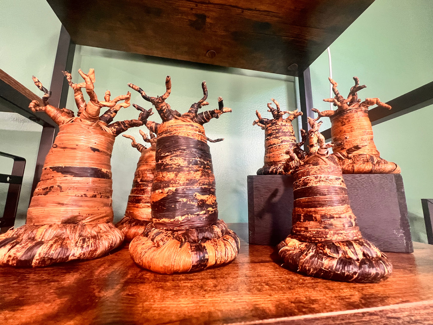 Baobab Trees