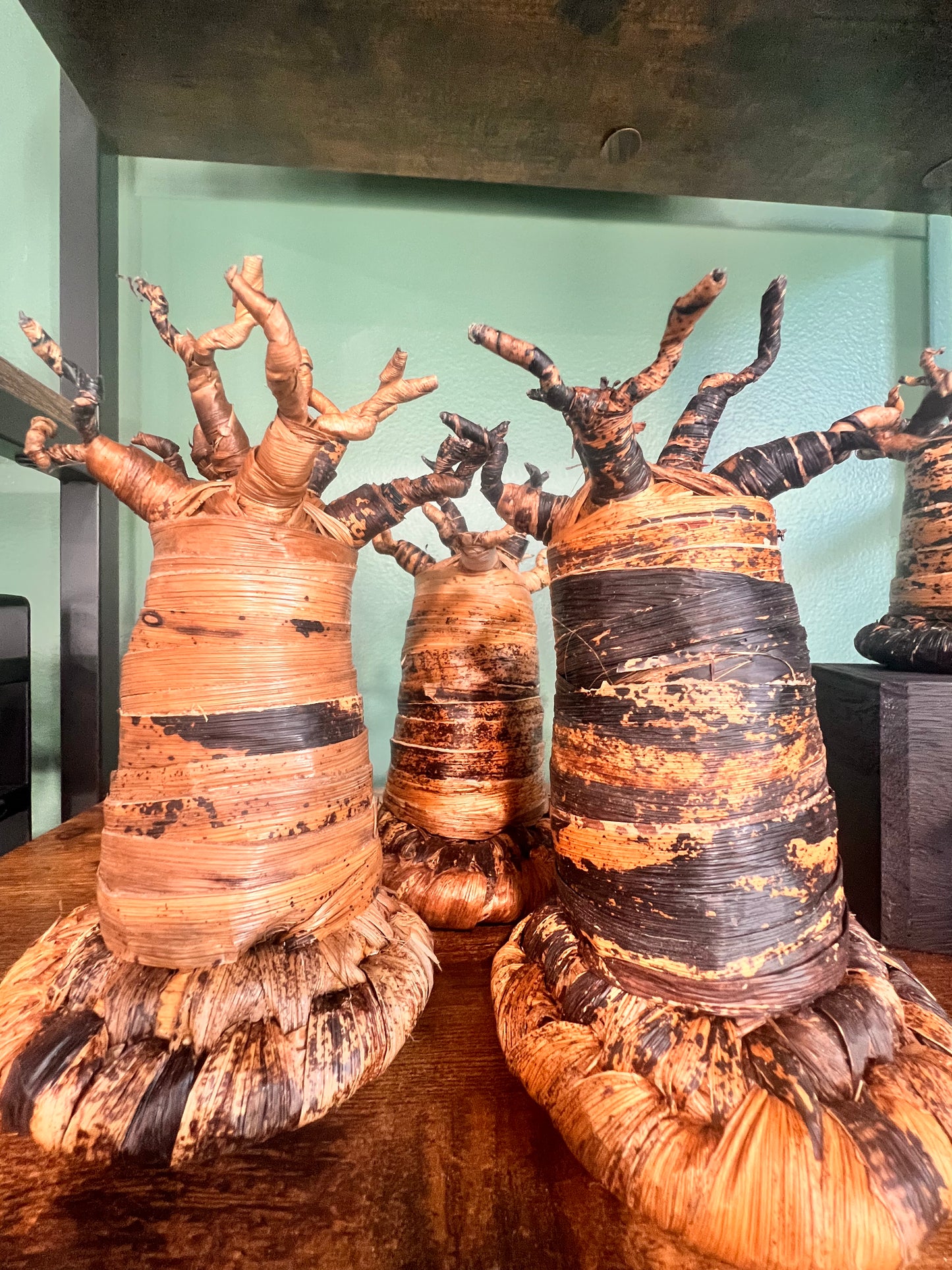 Baobab Trees