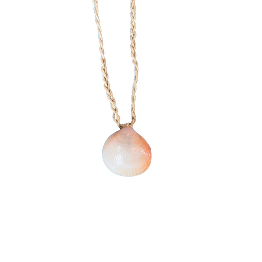 Shell Necklace/Braided