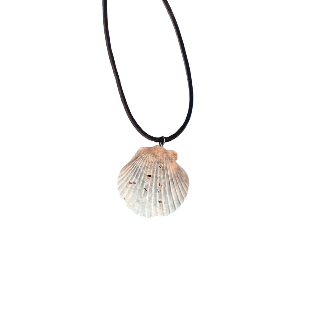 Scallop Shell Necklace/Rope
