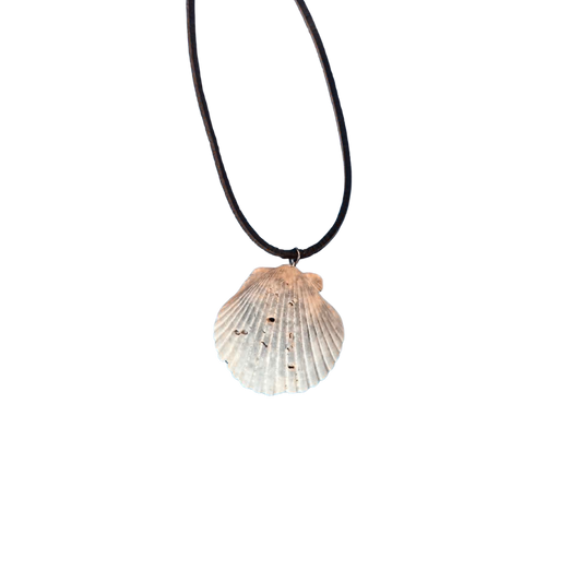 Scallop Shell Necklace/Rope