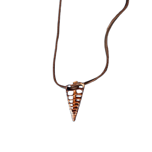 Telescopium Shell Necklace
