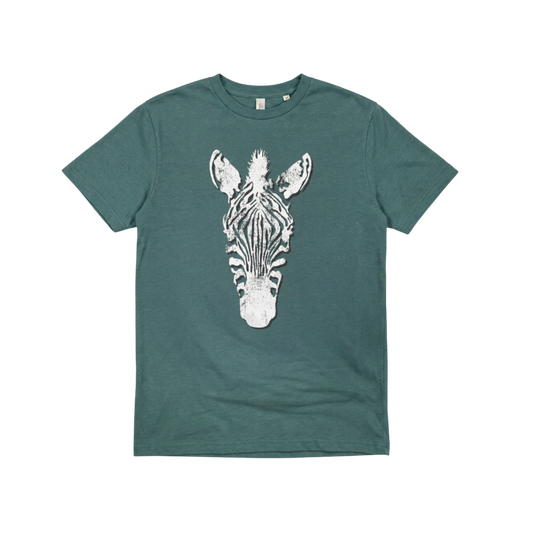 Zebra Face on Teal