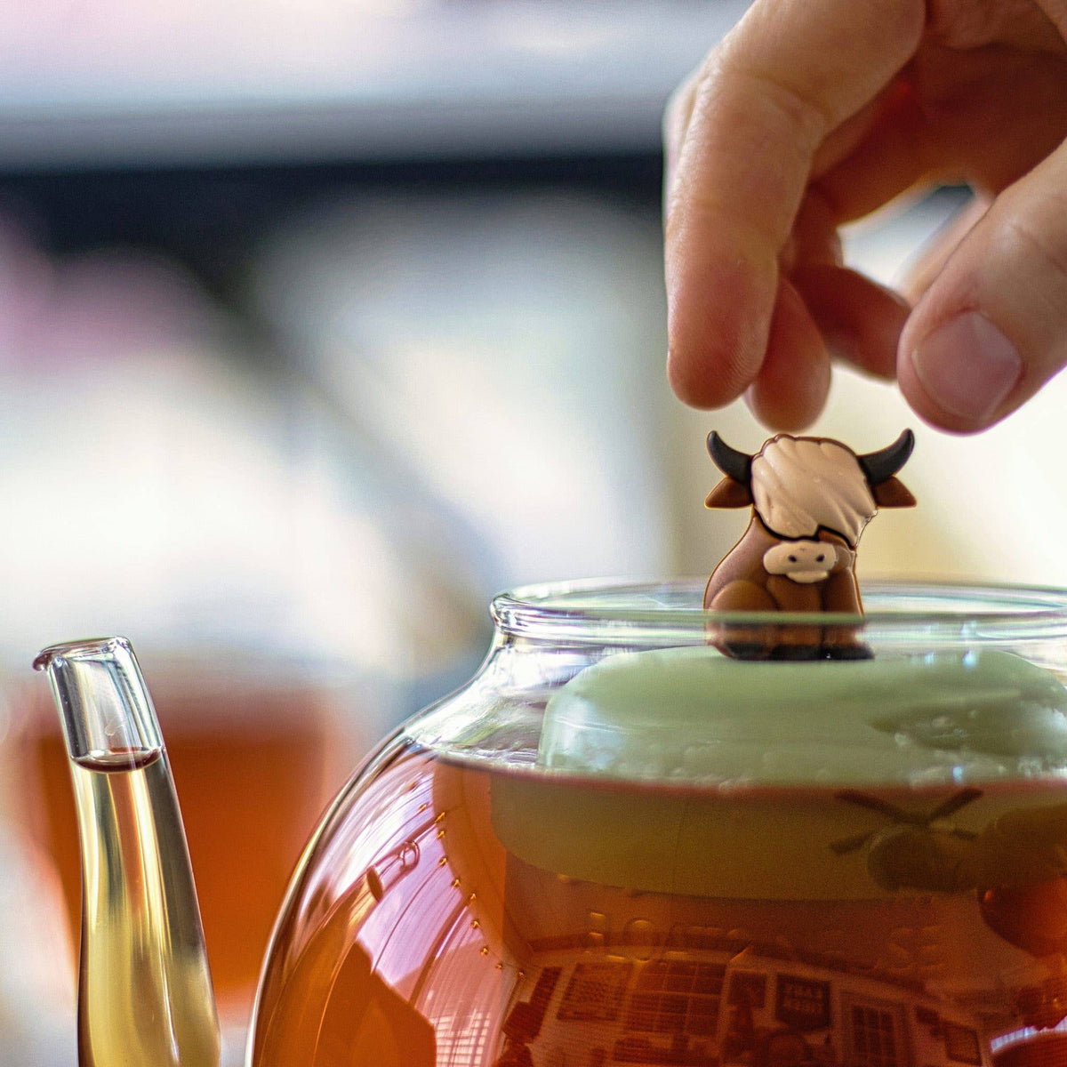 Brown Highland Cow | Pitcher Tea Infuser | Green Base |Brown