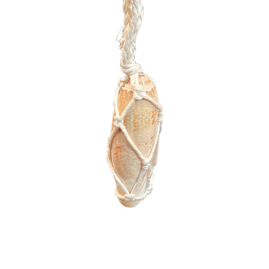 V-07. Hand-Picked Shell in White Yarn