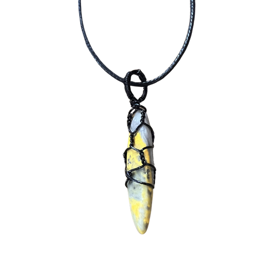 Bumblebee Jasper on Leather Necklace