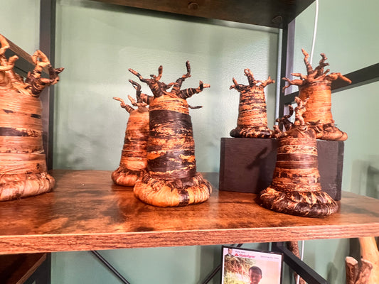 Baobab Trees