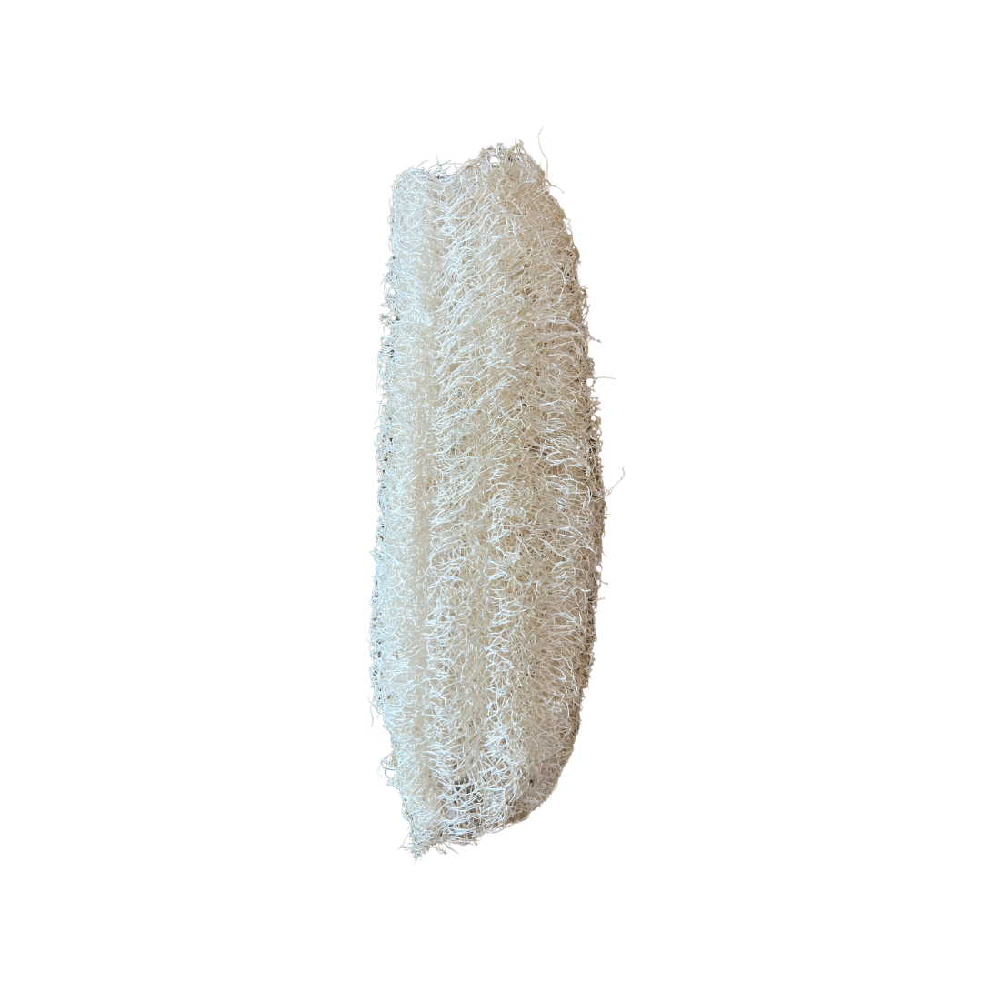 Locally Grown Loofa
